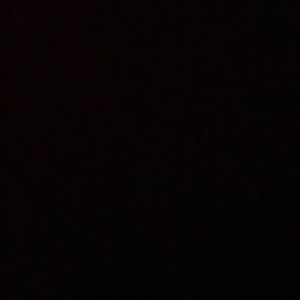 Meet your Posher, Bridget